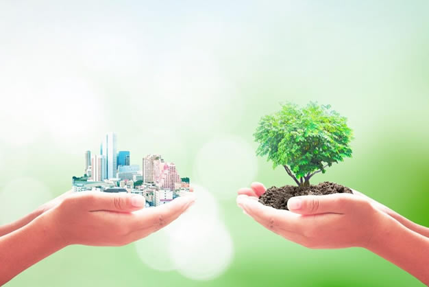 Gestión ambiental